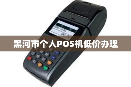 黑河市个人POS机低价办理