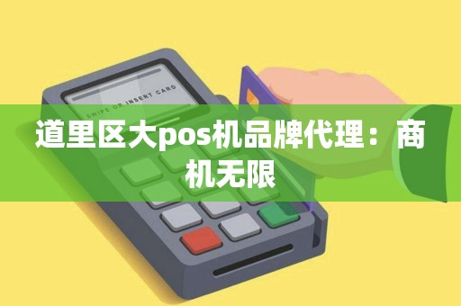 道里区大pos机品牌代理：商机无限