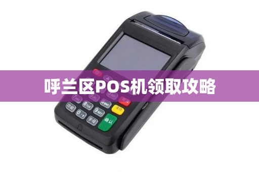呼兰区POS机领取攻略