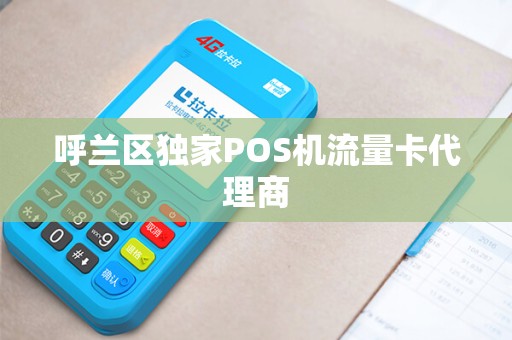 呼兰区独家POS机流量卡代理商