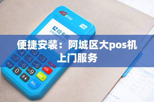 便捷安装：阿城区大pos机上门服务