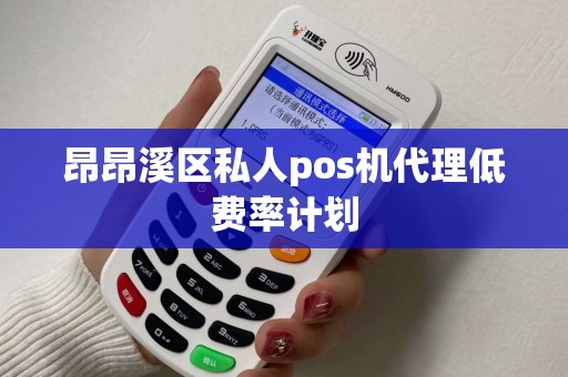 昂昂溪区私人pos机代理低费率计划