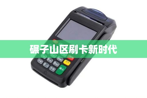 碾子山区刷卡新时代