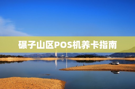 碾子山区POS机养卡指南