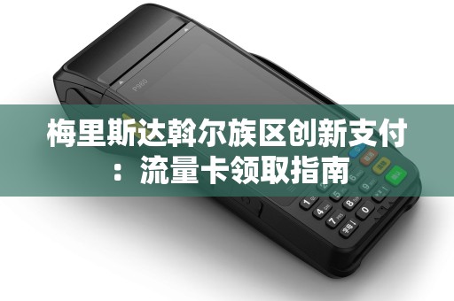梅里斯达斡尔族区创新支付：流量卡领取指南