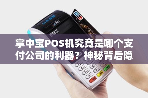 掌中宝POS机究竟是哪个支付公司的利器？神秘背后隐藏着怎样的秘密？