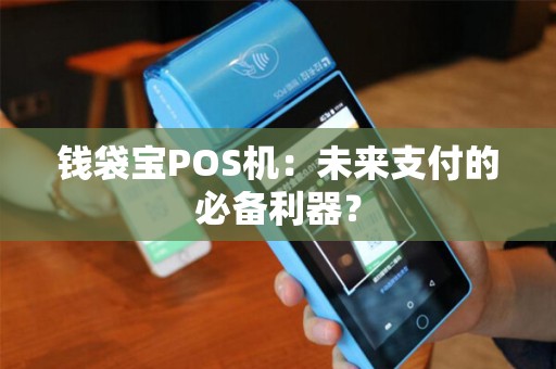 钱袋宝POS机：未来支付的必备利器？