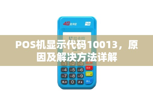POS机显示代码10013，原因及解决方法详解
