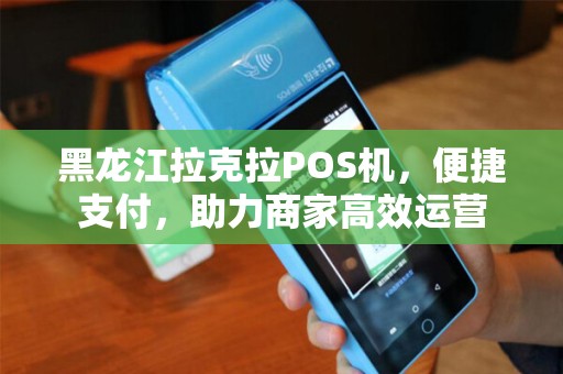 黑龙江拉克拉POS机，便捷支付，助力商家高效运营