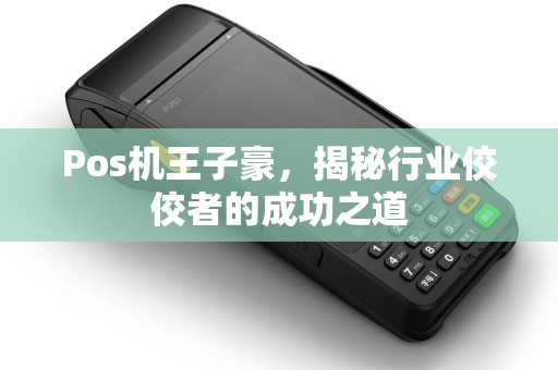 Pos机王子豪，揭秘行业佼佼者的成功之道