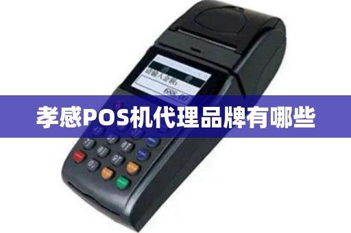 孝感POS机代理品牌有哪些