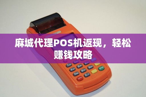 麻城代理POS机返现，轻松赚钱攻略