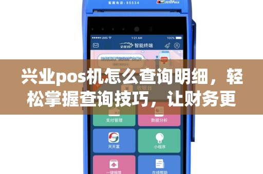 兴业pos机怎么查询明细，轻松掌握查询技巧，让财务更清晰