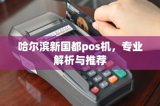 哈尔滨新国都pos机，专业解析与推荐
