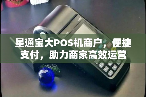 星通宝大POS机商户，便捷支付，助力商家高效运营