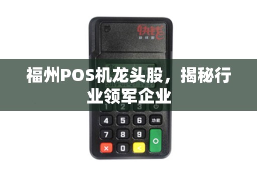 福州POS机龙头股，揭秘行业领军企业