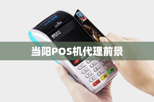 当阳POS机代理前景