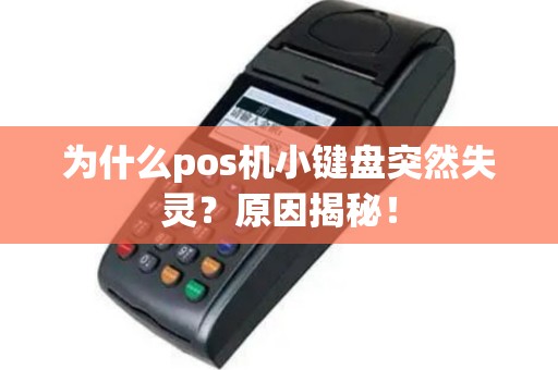 为什么pos机小键盘突然失灵？原因揭秘！
