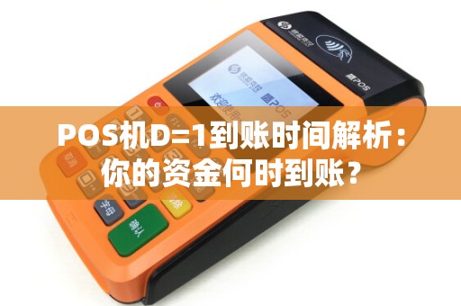 POS机D=1到账时间解析：你的资金何时到账？
