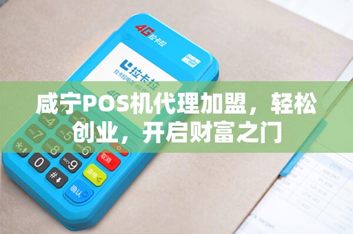 咸宁POS机代理加盟，轻松创业，开启财富之门