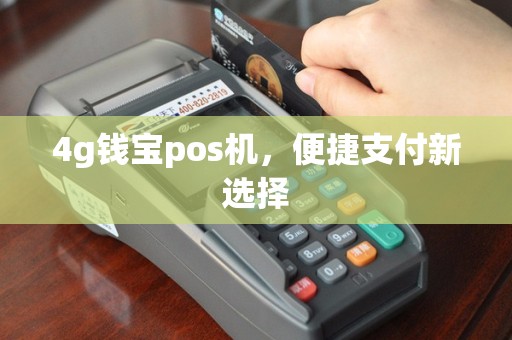 4g钱宝pos机，便捷支付新选择