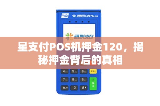 星支付POS机押金120，揭秘押金背后的真相