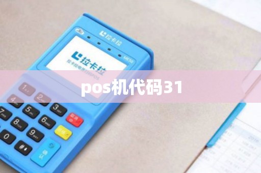 pos机代码31