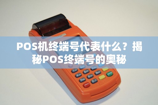 POS机终端号代表什么？揭秘POS终端号的奥秘