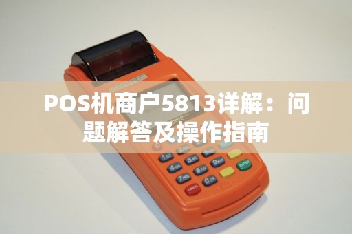 POS机商户5813详解：问题解答及操作指南