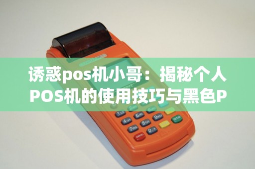 诱惑pos机小哥：揭秘个人POS机的使用技巧与黑色POS机的奥秘