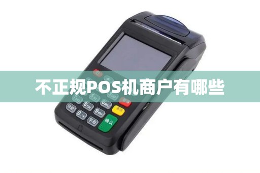 不正规POS机商户有哪些
