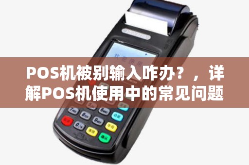 POS机被别输入咋办？，详解POS机使用中的常见问题及解决方案