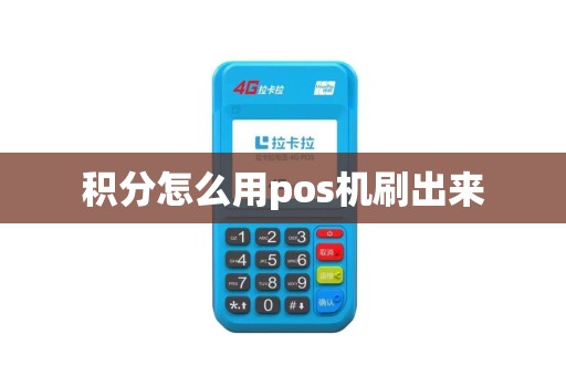 积分怎么用pos机刷出来