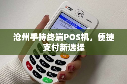 沧州手持终端POS机，便捷支付新选择