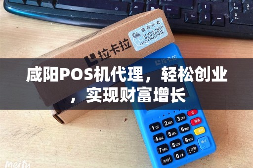 咸阳POS机代理，轻松创业，实现财富增长