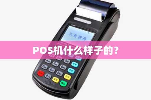 POS机什么样子的？