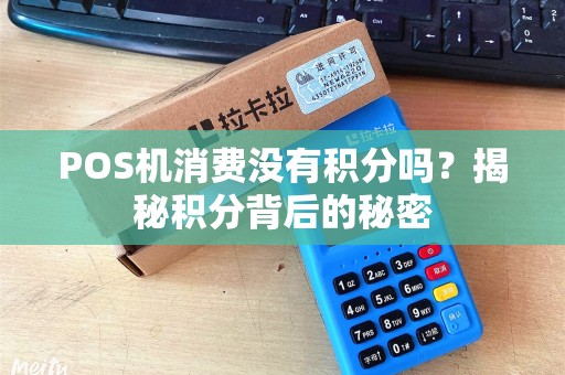 POS机消费没有积分吗？揭秘积分背后的秘密