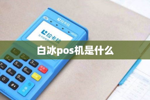 白冰pos机是什么