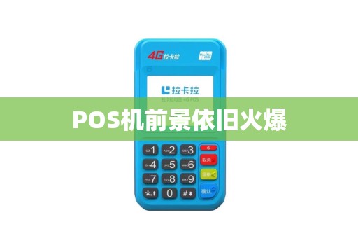 POS机前景依旧火爆