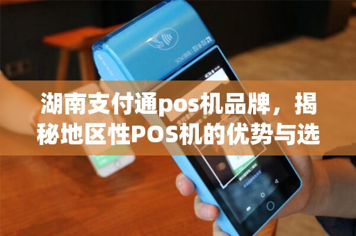 湖南支付通pos机品牌，揭秘地区性POS机的优势与选择指南