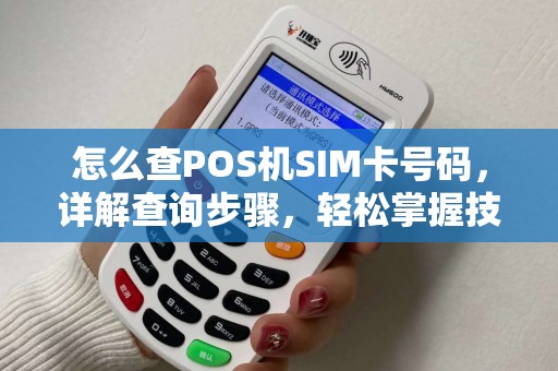 怎么查POS机SIM卡号码，详解查询步骤，轻松掌握技巧