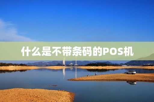 什么是不带条码的POS机