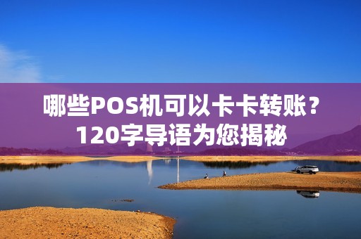 哪些POS机可以卡卡转账？120字导语为您揭秘