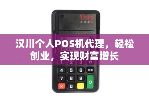 汉川个人POS机代理，轻松创业，实现财富增长