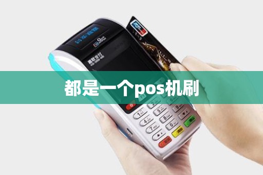 都是一个pos机刷