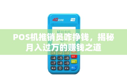 POS机推销员咋挣钱，揭秘月入过万的赚钱之道