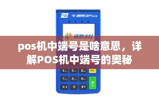 pos机中端号是啥意思，详解POS机中端号的奥秘