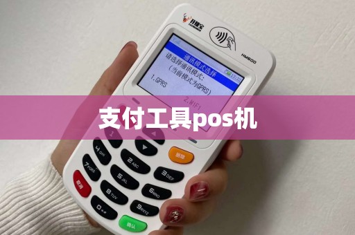 支付工具pos机