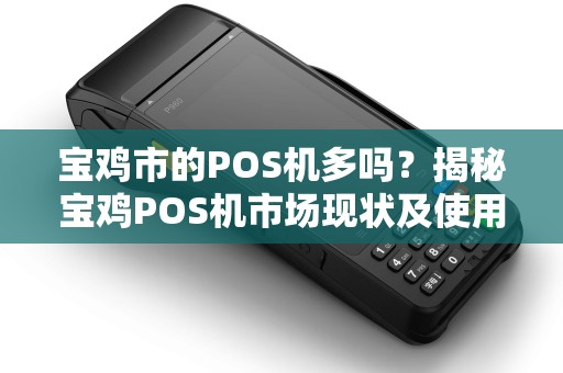 宝鸡市的POS机多吗？揭秘宝鸡POS机市场现状及使用指南