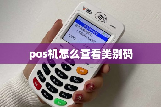pos机怎么查看类别码